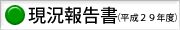 現況報告書